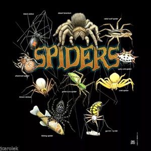 Youth T-shirt Spiders and Bugs Cotton Black